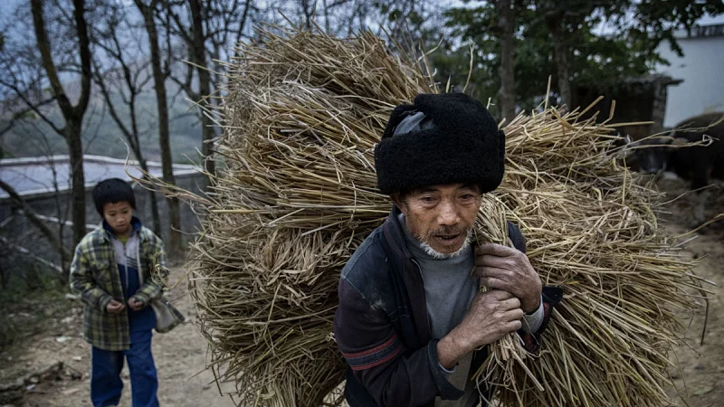 秦晖：农民问题的历史与现实【音频】
