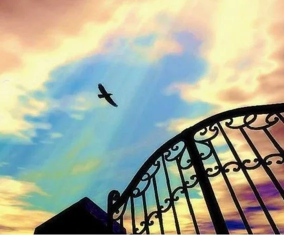 秦晖：实践自由答客难【音频】