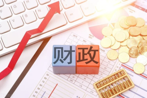 秦晖、李炜光、龚成钰:政策冲动之下的地方财政空转如何破题【音频】-duli 读立