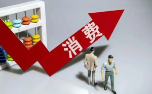 秦晖:福利、消费与发展方式转变【音频】-duli 读立