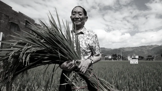 秦晖：中苏遗传学与育种实践的异同 | 由袁隆平的贡献谈起【音频】